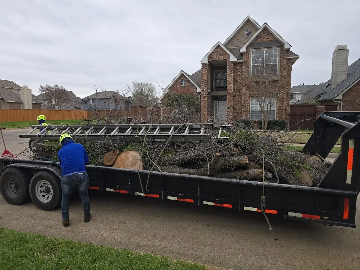 Expert Tree Removal with proper safety equipment in Buffalo